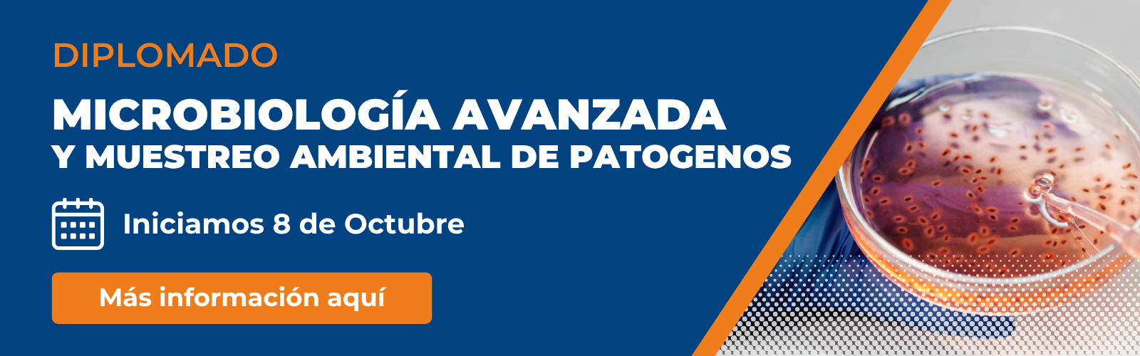Diplomado en Microbiologia Avanzada