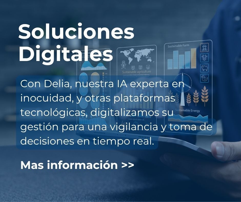 Soluciones Digitales